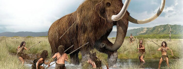 The natural thing was to eat only meat: why it took humans thousands of years to try vegetables