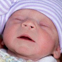 Por primera vez en Estados Unidos, nace una bebé de un útero trasplantado de una mujer fallecida