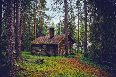 Log Cabin 1886620 1920