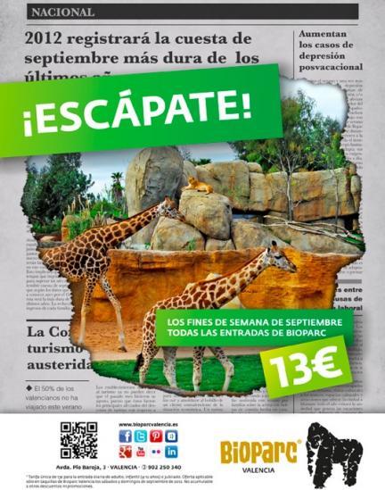 Escápate en septiembre a Bioparc Valencia, que es más barato