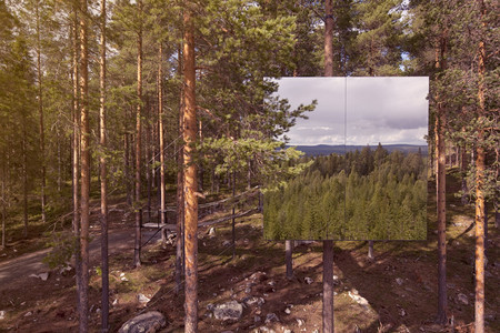 The Mirrorcube Treehote 2