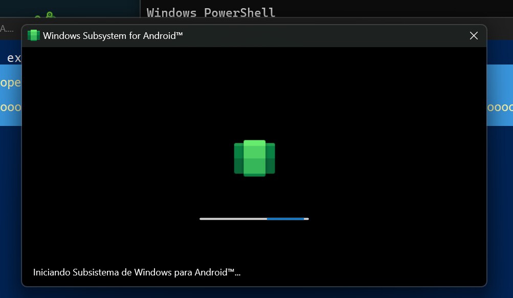 Google Play Store en Windows 11: cómo instalar la tienda Android para ...