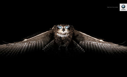 BMW Night Vision Ad