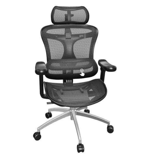 Silla ergonómica Sihoo Doro C300