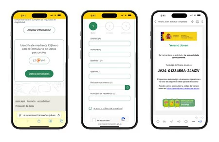 ヤングサマー 2024 への応募手順