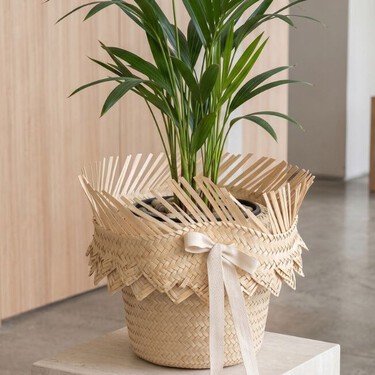 Cómo transformar un sombrero desgastado en una maceta para tus plantas y darle un estilo único a tu casa