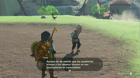 Zelda Totk El Saber No Ocupa Lugar 7
