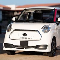 El fabricante chino Kandi quiere 'asaltar' Norteamérica con sus coches eléctricos low cost y ya está buscando fábrica
