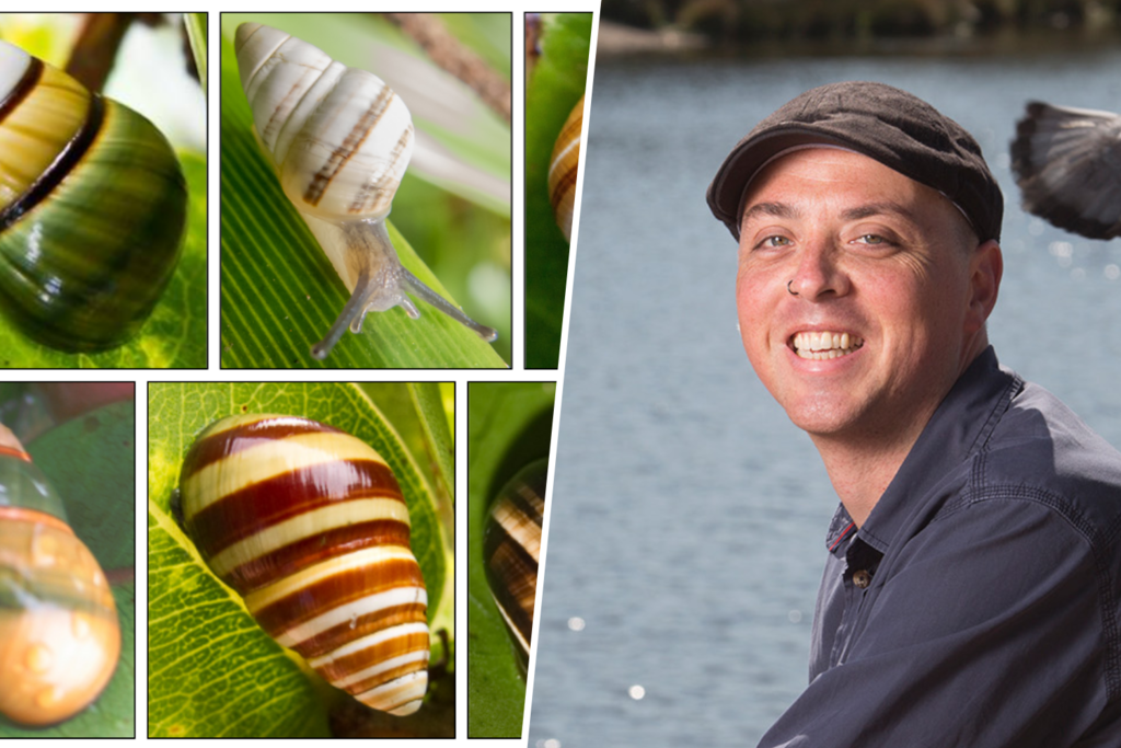 "Mentalidad de sala de urgencias": el filósofo holandés convencido de que salvar a los caracoles es salvarnos a nosotros mismos 