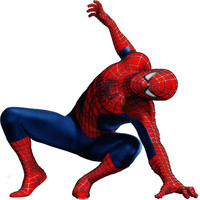 La araña capaz de tumbar un coche