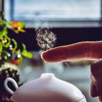 Elegir el humidificador adecuado