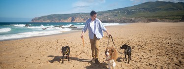Playas de España que admiten perros (actualizado 2022) 