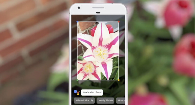 Googlelens