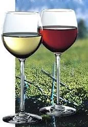 La fibra dietética del vino