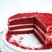 Fiesta de la primera menstruación, una moda que va al alza en Estados Unidos