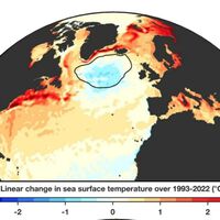 "Está sendo causado pelo próprio oceano": o maior especialista mundial na Corrente do Golfo tem más notícias sobre o coração do Atlântico 