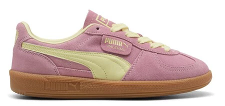 Puma2