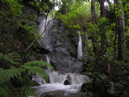 Escapada Bosque Senderismo Invierno Bonito Finde Buen Tiempo
