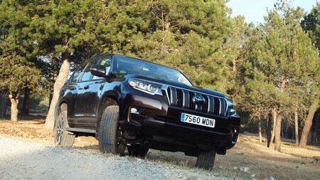 Toyota Land Cruiser Limited 10