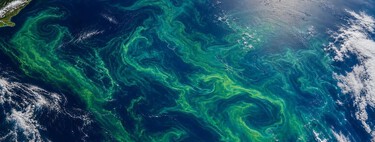 NASA has detected a giant green spot from space in New Zealand. And it's not contamination or an image failure