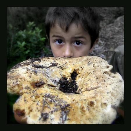En otoño podemos hacer excursiones con peques para que disfruten con las setas