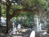 Cementerio Inglés de Málaga