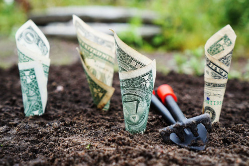 20.000 millones más para pymes y autónomos, ¡corred a por vuestro aval insensatos!