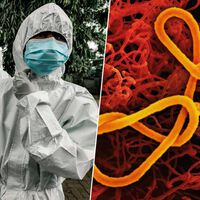 Habíamos visto muchos brotes de ébola en África central, probablemente ninguno como este 