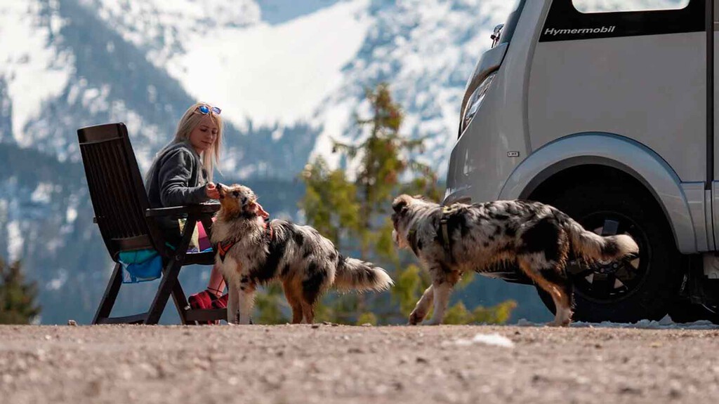 "Un perro mojado en una furgoneta camper es motivo de divorcio". Este experto en autocaravanas desmonta el postureo camper