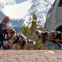 "Un perro mojado en una furgoneta camper es motivo de divorcio". Este experto en autocaravanas desmonta el postureo camper