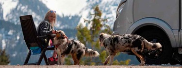 "Un perro mojado en una furgoneta camper es motivo de divorcio". Este experto en autocaravanas desmonta el postureo camper