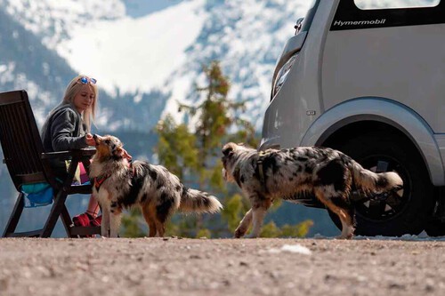 Viajar Camper No Para Todo Mundo