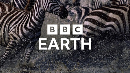 BBC