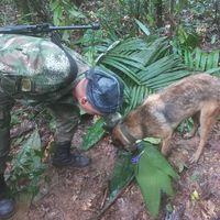 La historia de los cuatro hermanos perdidos en la selva colombiana tras estrellarse la avioneta en la que viajaban