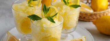 Gracias a este cacharro de Lidl tendremos granizado ilimitado, de todos los sabores y durante todo el verano Gracias a este cacharro de Lidl tendremos granizado ilimitado, de todos los sabores y durante todo el verano