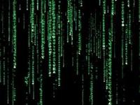 Un error informatico impide quitar puntos del carnet