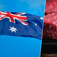 Antes das tarifas, a China comprava a maior parte de sua carne bovina dos EUA; depois das tarifas, outro país saiu ganhando