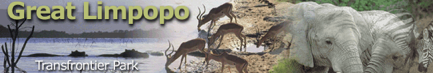 El Gran Parque Transfronterizo Limpopo