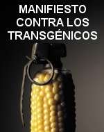 Greenpeace alimentos transgenicos pdf