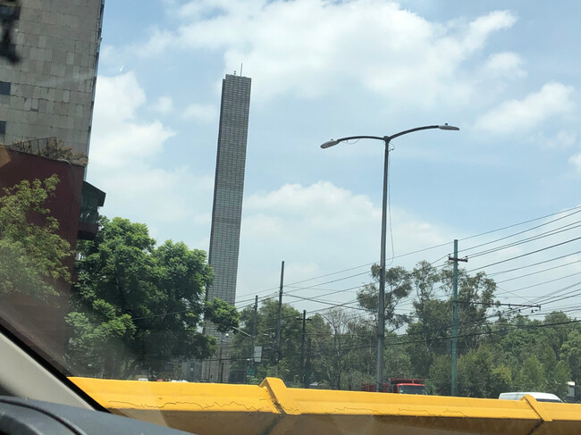Estela De Luz