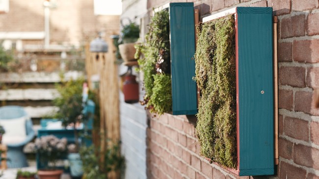 Bosch Hg Color Up Your Garden Verticalgarden Stage