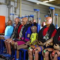 Cuando la seguridad en el coche solo se basa en la anatomía masculina