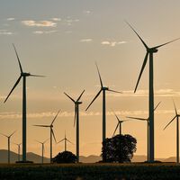 El lado oscuro de la energía eólica renovable: los aerogeneradores españoles matan a un millón de murciélagos al año