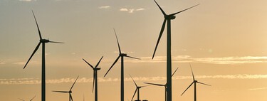 El lado oscuro de la energía eólica renovable: los aerogeneradores españoles matan a un millón de murciélagos al año