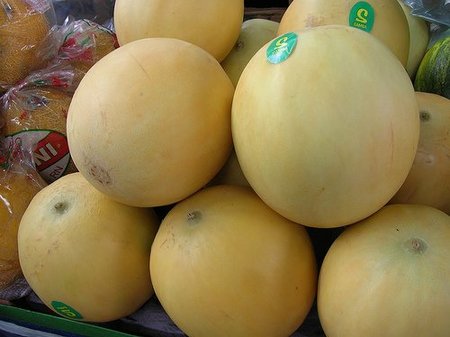melon
