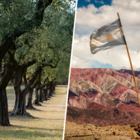 La meca del AOVE tiene un rival inesperado: el aceite de Vaca Muerta se está colando en España poco a poco