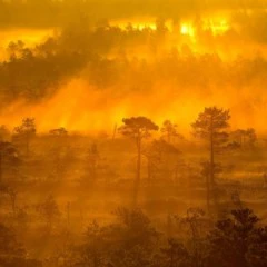 Foto 8 de 9 de la galería paisaje en Xataka Foto