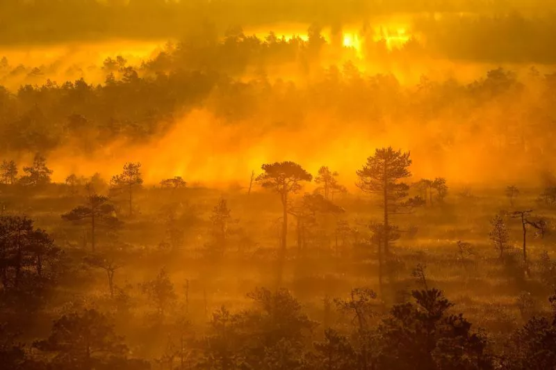 Foto de Paisaje (8/9)