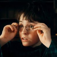 La serie de Harry Potter muestra a Lily y James Potter, pero hay otro fichaje que los fans llevan años esperando 