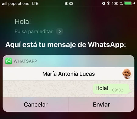 画像 390db8df01dc 1